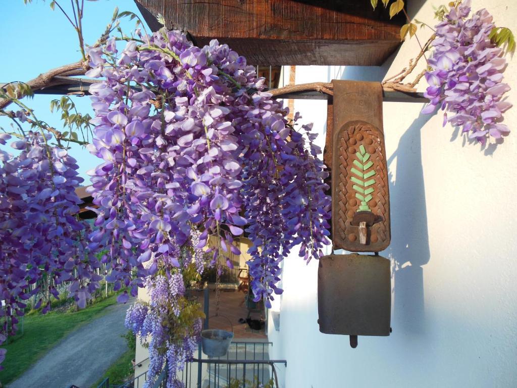 Agriturismo Affittacamere Barbarossa Dogliani Exterior photo