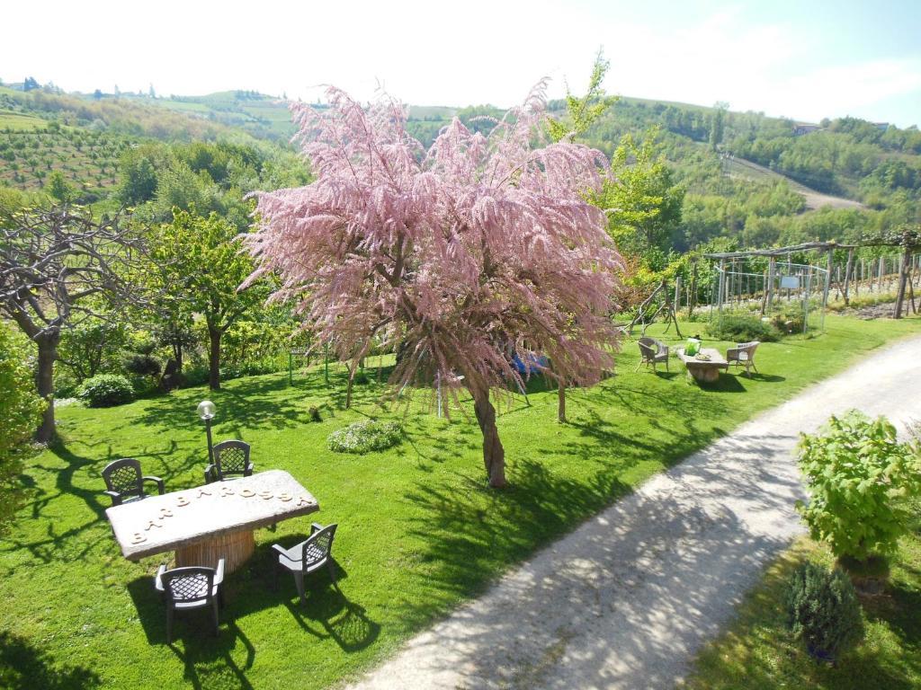Agriturismo Affittacamere Barbarossa Dogliani Exterior photo