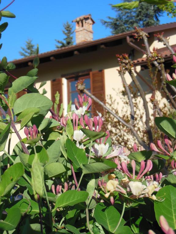Agriturismo Affittacamere Barbarossa Dogliani Exterior photo