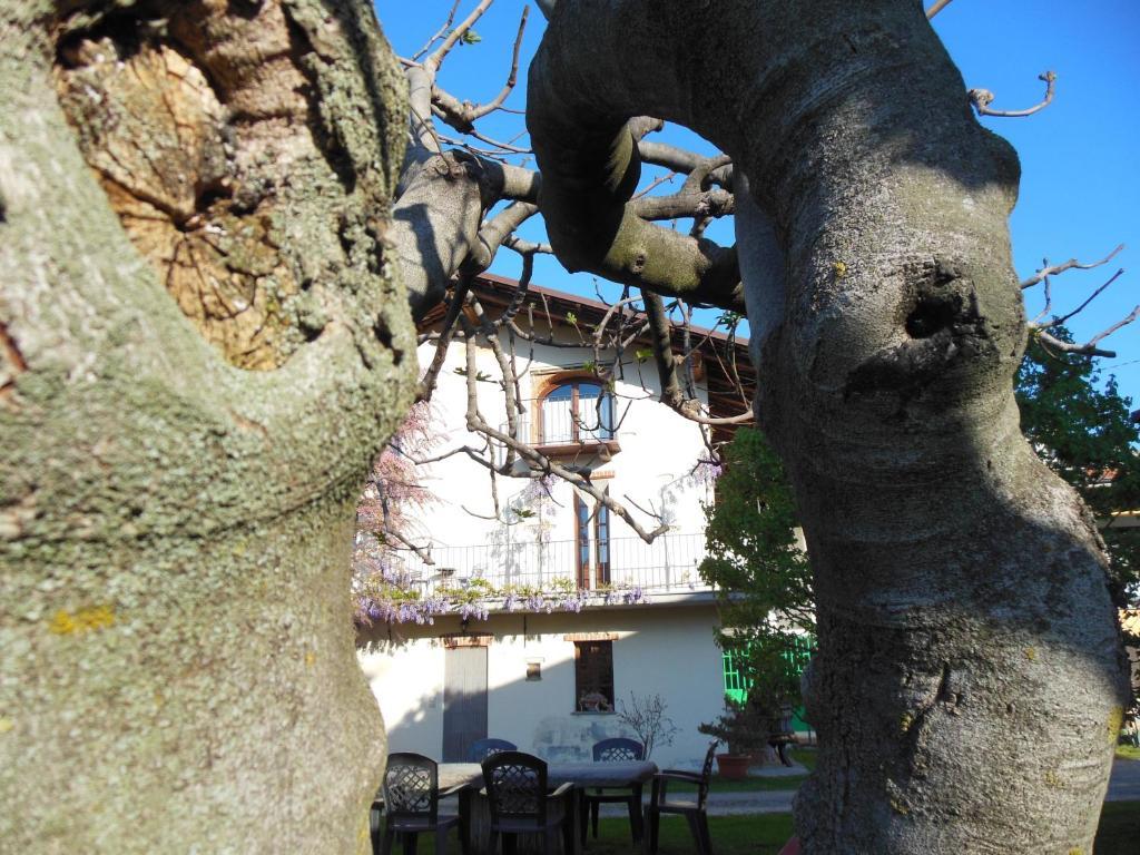 Agriturismo Affittacamere Barbarossa Dogliani Exterior photo