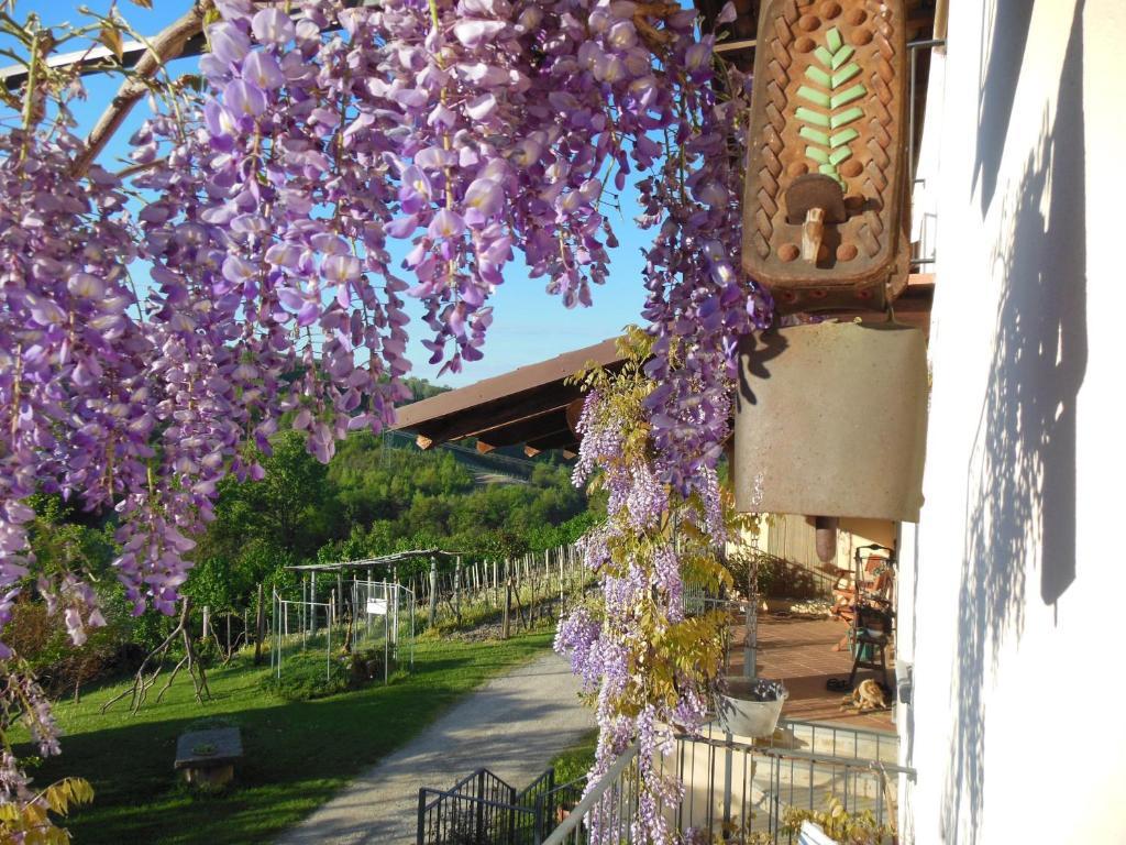 Agriturismo Affittacamere Barbarossa Dogliani Exterior photo